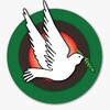 شعار قناة تلجرام salamtv1 — تلفزيون السلام