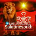لوگوی کانال تلگرام salatinesorkh — 👑کانال‌سلاطین‌سرخ👑