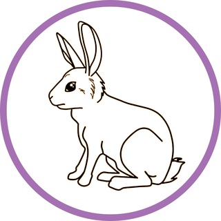 Логотип телеграм канала @sale_hare — Халява от зайца