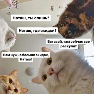 Логотип телеграм канала @sale_nahodki — Скидки / Находки