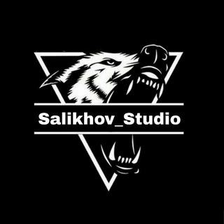 Telegram kanalining logotibi salikhov_studio — Salikhov Studio