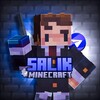 Логотип телеграм канала @salikstars — Salik Minecraft