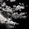 Логотип телеграм канала @sallist — Sallist