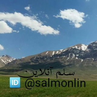 Logo saluran telegram salm_online — ☔️ سلم آنلاین
