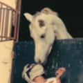 Logo saluran telegram salman5555 — مربط القيصومه 🐎.