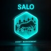 Логотип телеграм канала @salotoncoin — SALO CryptoCurrencies CIS