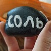 Логотип телеграм канала @salt_camp — СОЛЬ | Больше-Чем-Детский Лагерь