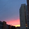 Логотип телеграм канала @saltelk — Солёный лось