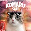Лагатып тэлеграм-канала saltkintg — Komaru Salt ~ Channel ❄️