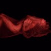 Логотип телеграм канала @salustes — SALUS