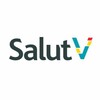 Логотип телеграм канала @salut_v — SALUT V / Апартаменты у аэропорта Петербурга