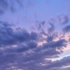 شعار قناة تلجرام samaamakhmooora — سَمَــاء مَخْمُــورَة