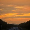 Логотип телеграм канала @samavezde — СамаГоню