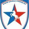 Логотип телеграм канала @sambocrystal — Самбо. Кристалл