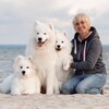 Логотип телеграм канала @samoyed_mosmetel — Самоеды питомник «Из Московской Метели»