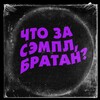 Логотип телеграм канала @samplebro — Что за сэмпл, братан?