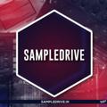 Logo del canale telegramma sampledrive - SampleDrive Updates