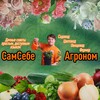 Логотип телеграм канала @samsebeagronom — СамСебеАгроном