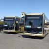 Telegram kanalining logotibi samtrans — Samarqand viloyati transport boshqarmasi