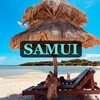 Логотип телеграм канала @samuif — САМУИ акции , аренда , байки шоп