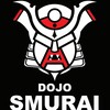 Logo of telegram channel samuraijitsu — Samuraijitsu