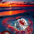 Logo saluran telegram sana00111 — ❤️کافه ی مهربونی❤️👉👉