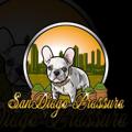 Logo saluran telegram sandiegopressure — SanDiego Pressure 🔥⛽️