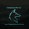 Логотип телеграм канала @sanorthernangel — Канал ГПБЖ «СЕВЕРНЫЙ АНГЕЛ» Дедовск