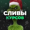 Telegram channel СЛИТЫЕ КУРСЫ logo