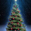 Telegram channel 🌲 Ёлки в Ташкенте🌲🌲🍒🍒🍒 logo
