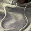 Логотип телеграм канала @santraviksssworld — трэвиик