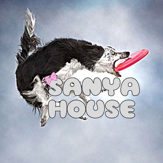 Логотип телеграм канала @sanya_house — 𝚂𝚊𝚗𝚢𝚊_𝚑𝚘𝚞𝚜𝚎_