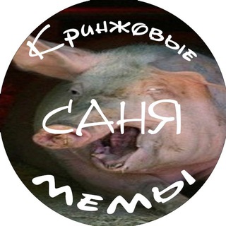 Logo of telegram channel sanyacrng — Кринжовые САНЯ мемы