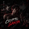 Логотип телеграм канала @sanyamemcoin — КриптоСаня