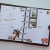 Логотип телеграм канала @saphira_plans — Сапфира планирует