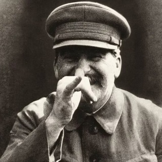 Логотип телеграм канала @saraevd — Сараев рассказывает