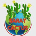 Logo saluran telegram saray_cactus — 🌵سرای کاکتوس🌵