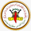 Logo saluran telegram sarayajneen — كتيبة جنين الإعلام الحربي-الحساب الاحتياطي