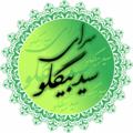 Logo saluran telegram sarayseyyedbiglu — کانال سرای سیّد بیگلو