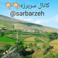 Logo saluran telegram sarbarzeh — سربرزه