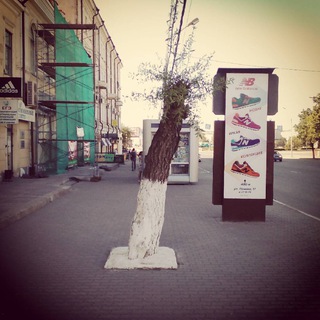 Логотип телеграм канала @sarcasm55 — Омск_сарказм