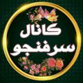 Logo saluran telegram sarfenju_kakhk — ◀️ کانال سرفنجو ▶