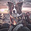 Логотип телеграм канала @sashichannel — Продаю