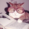 Логотип телеграм канала @satiramem — Сатира / Литературные мемы