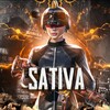 Logo of telegram channel sativagg_tdm — SATIVA