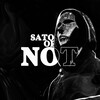 Логотип телеграм канала @satoshiornot — SATOSHI OR NOT | CRYPTO