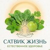 Логотип телеграм канала @satvik_life1 — Движение жизни