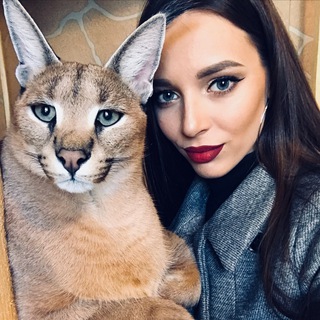 Логотип телеграм канала @sauvage_cats — Sauvage. Территория Кошек