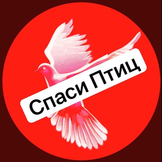 Логотип телеграм канала @save_bird — Help Birds