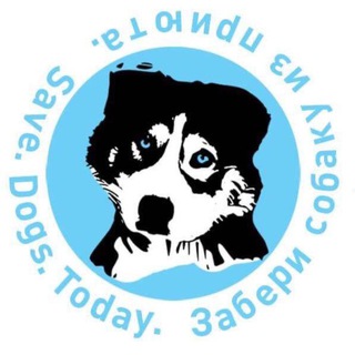 Логотип телеграм канала @savedogs_today — Помощь Собакам Save.Dogs.Today